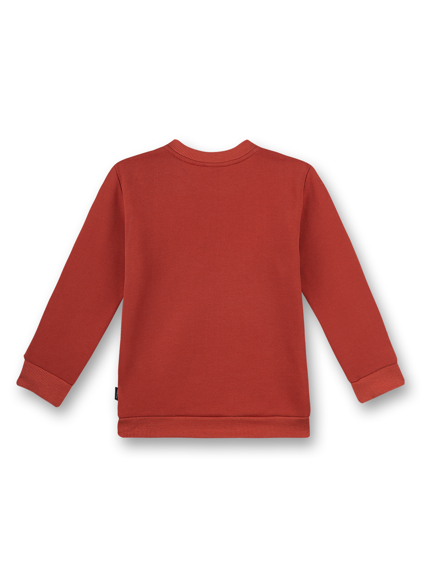 Jungen-Sweatshirt Rot Ice Hockey