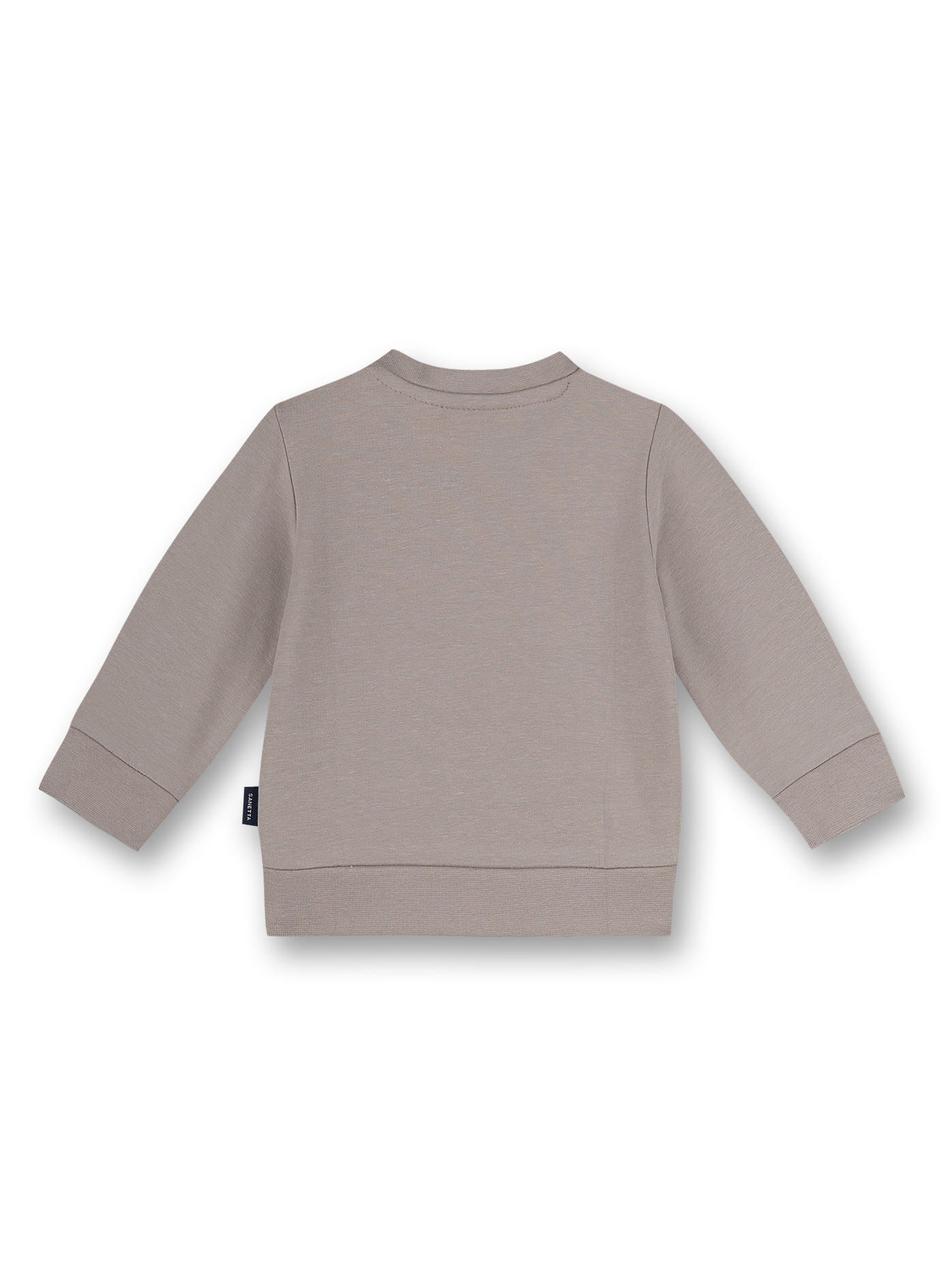 Jungen-Sweatshirt Grau Dino