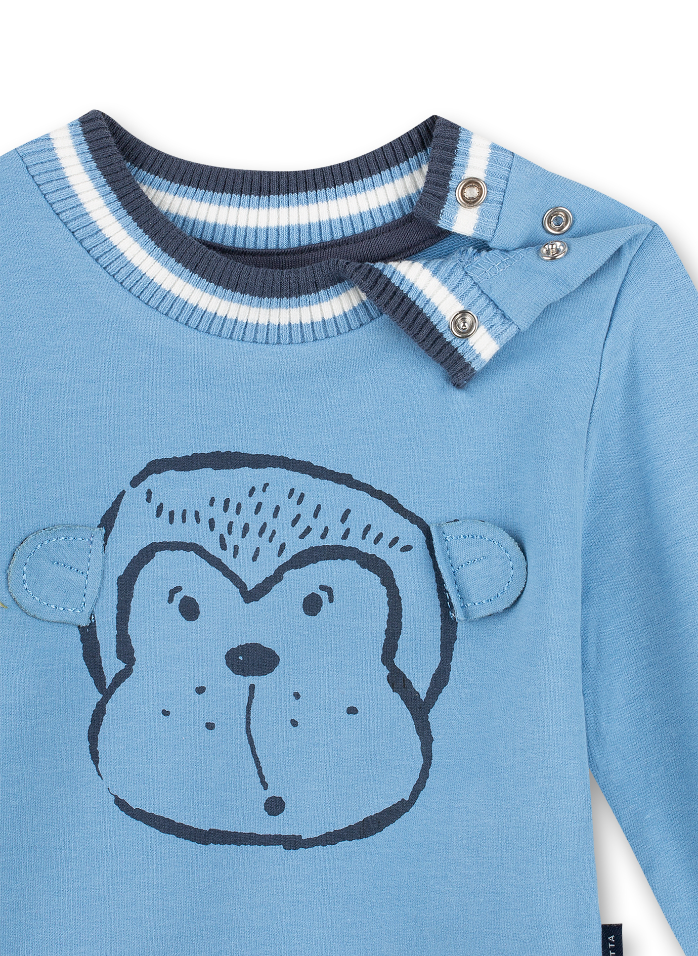 Jungen-Sweatshirt Hellblau Monkey Funky